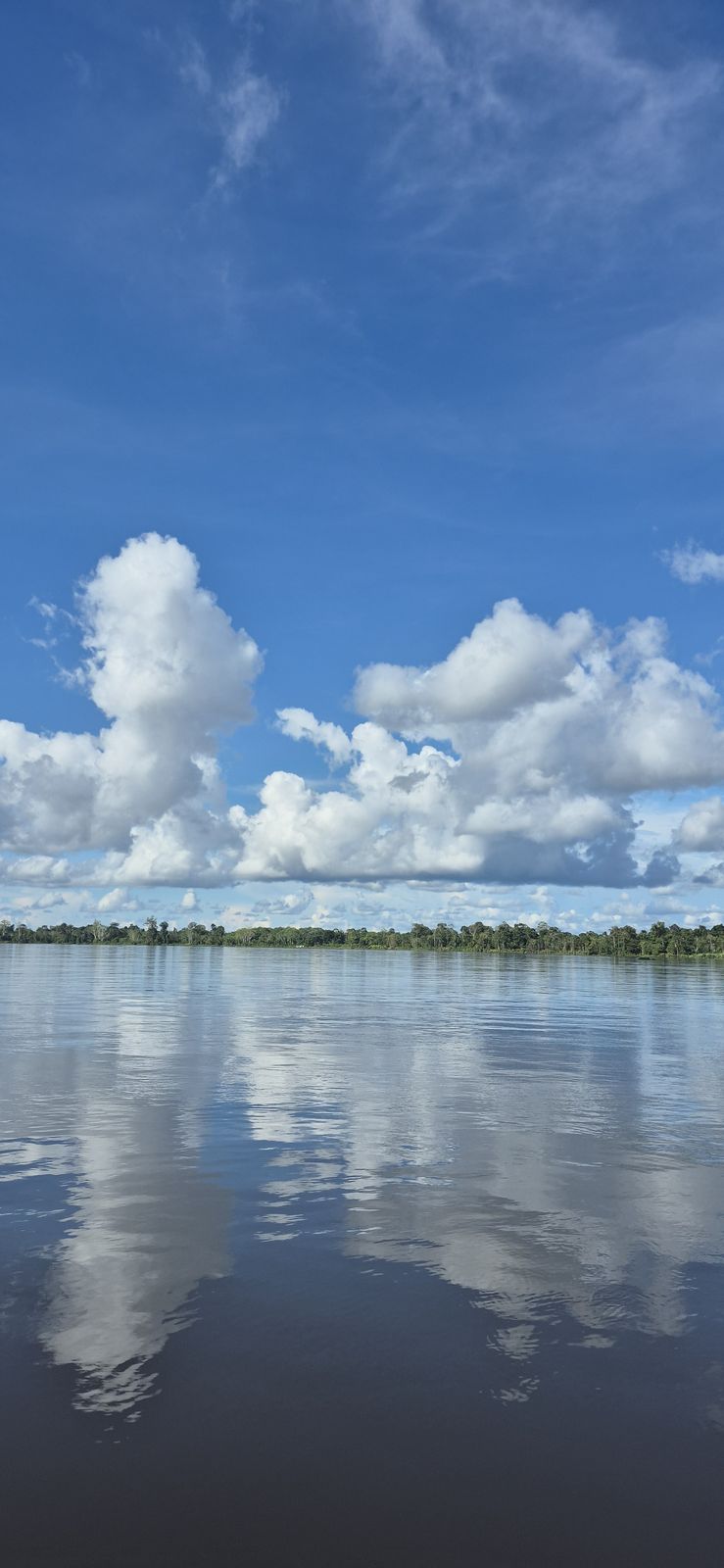 雲を鏡のように映すアマゾン川の水面